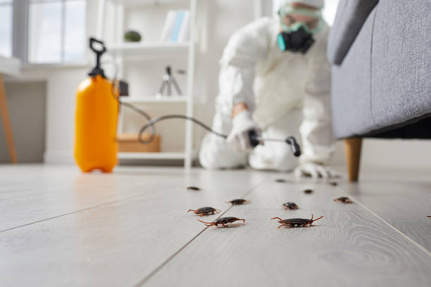 Commercial Kitchen Cockroach Control in Tega Cay