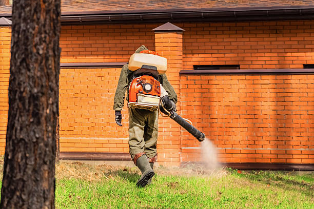 Cockroach Follow-Up and Monitoring in Tega Cay